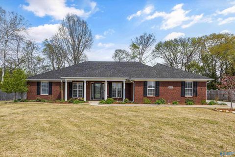 Photo of 14687 Indigo Court, Harvest, AL 35749 (MLS # 21913547)