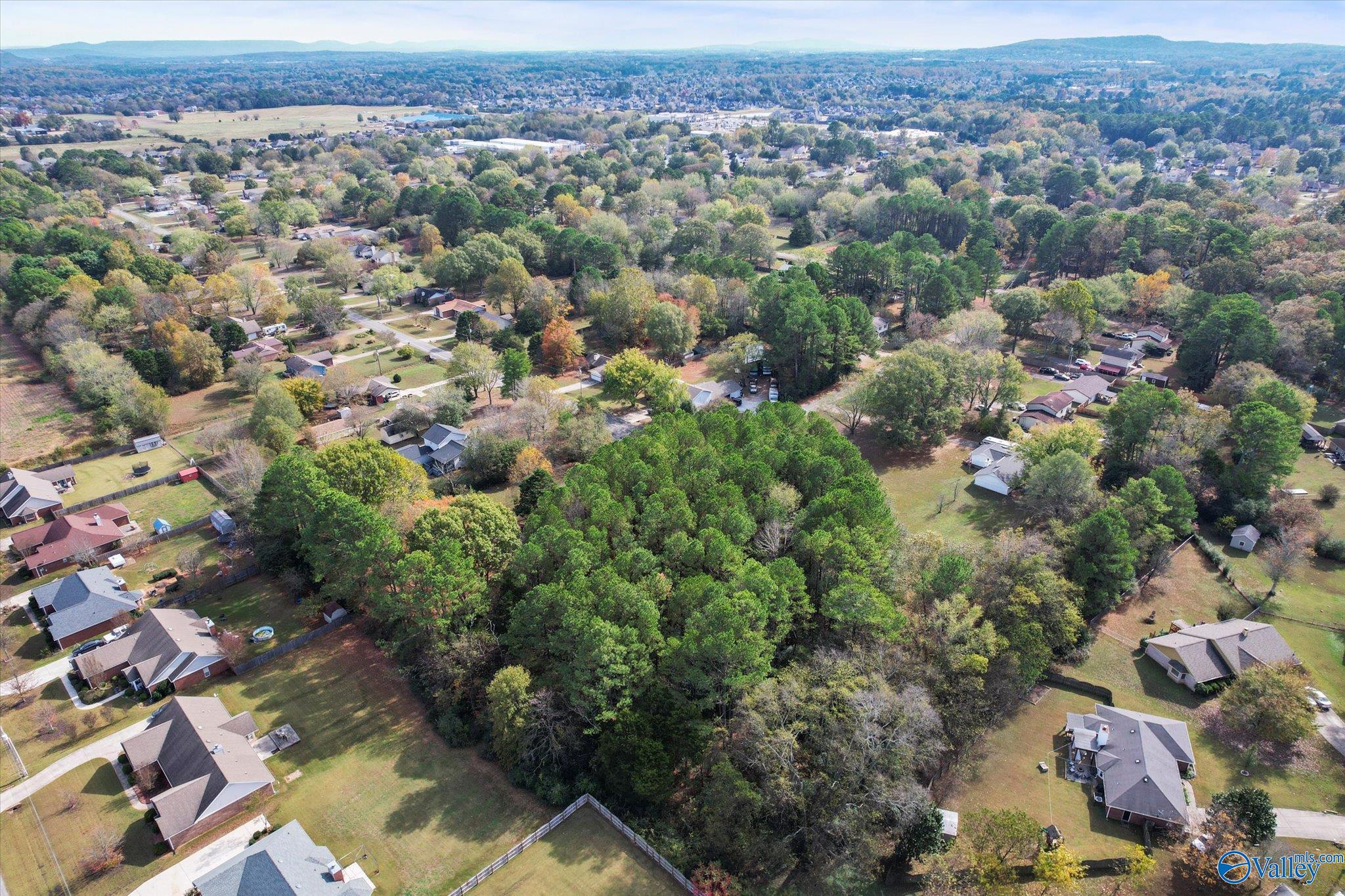 146 Dexter Circle, Madison, Alabama image 7