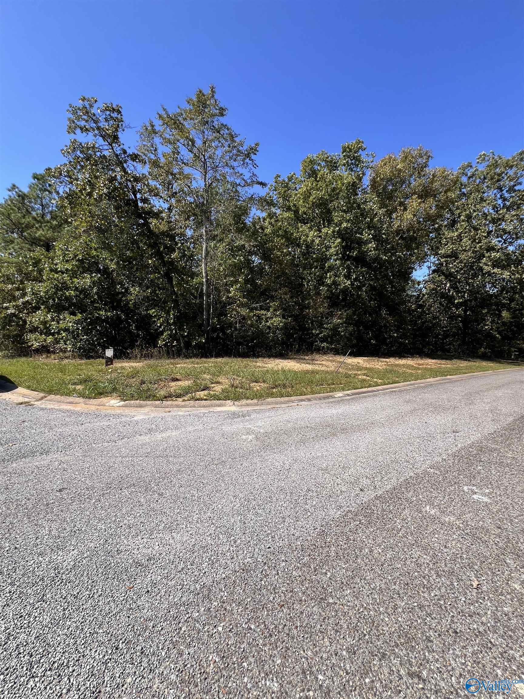 Lot 48 White Oak Circle, Centre, Alabama image 6