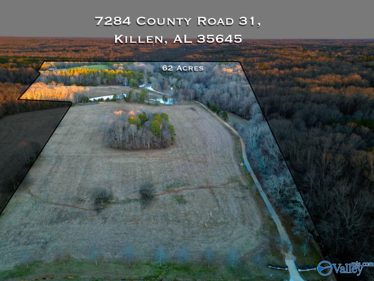 7284 County Road 31, Killen, Alabama image 46