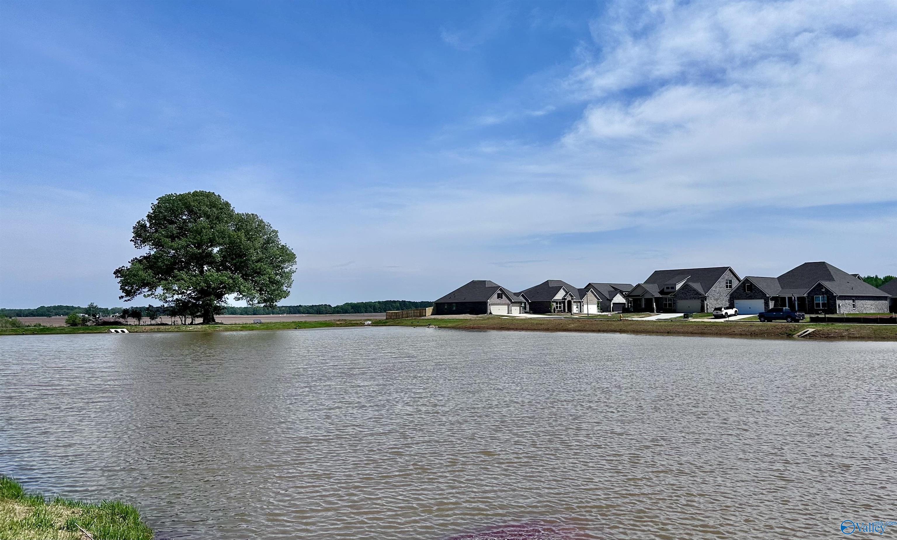 105 Cowdray Circle, Toney, Alabama image 32