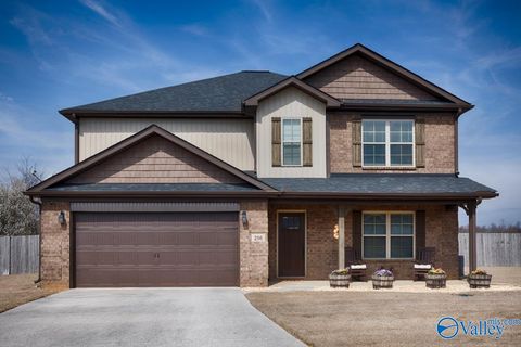 Photo of 256 Maggie Mance Lane, Harvest, AL 35749 (MLS # 21911588)