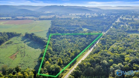 Vacant Land For Sale - 6716 Highway 67<br/> Somerville, AL 35670