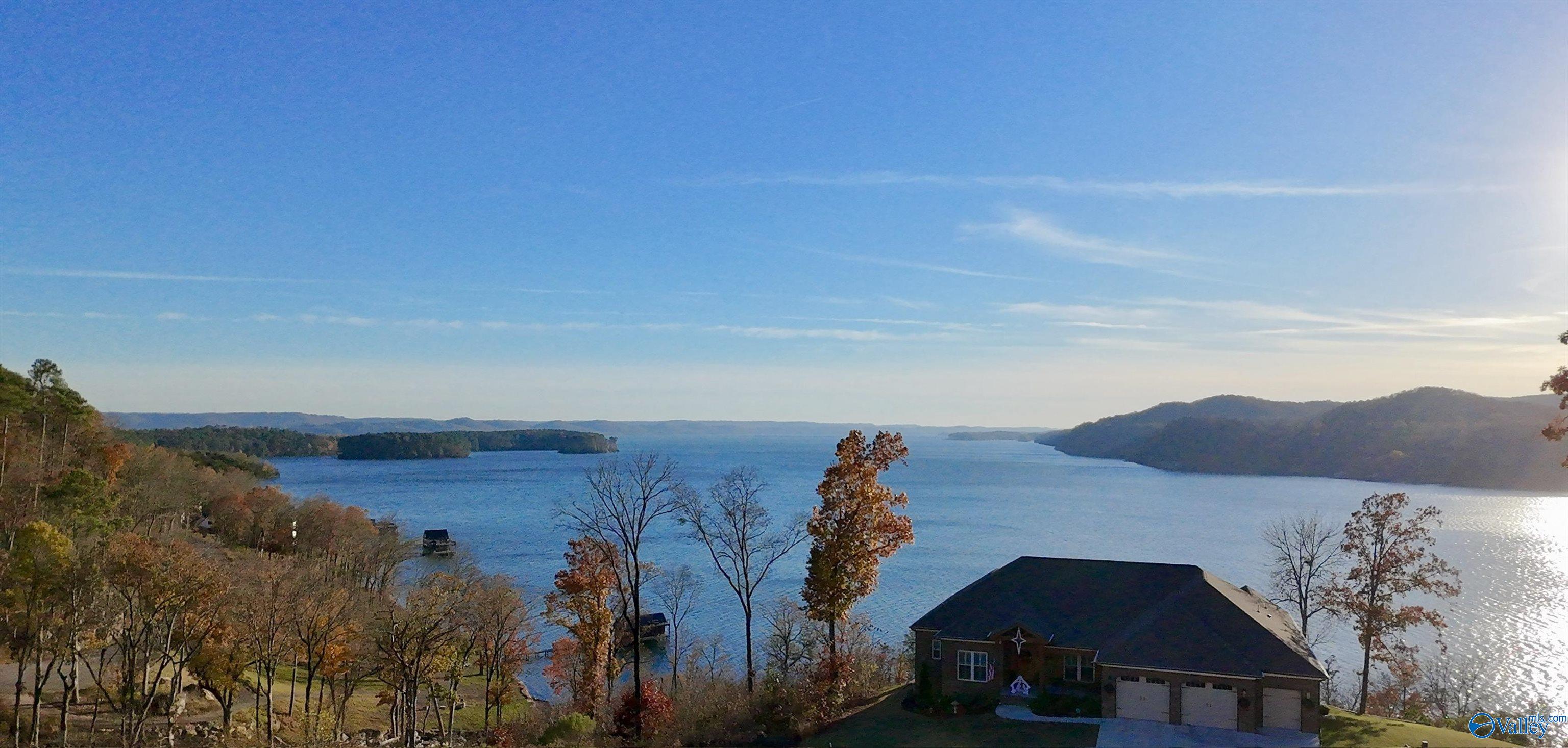 150 Ryan Drive, Guntersville, Alabama image 3