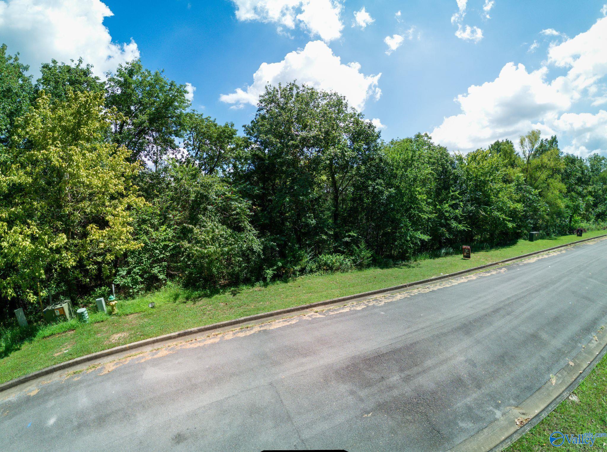 7017 Ridge Crest Road #LOT 44, Owens Cross Roads, Alabama image 15