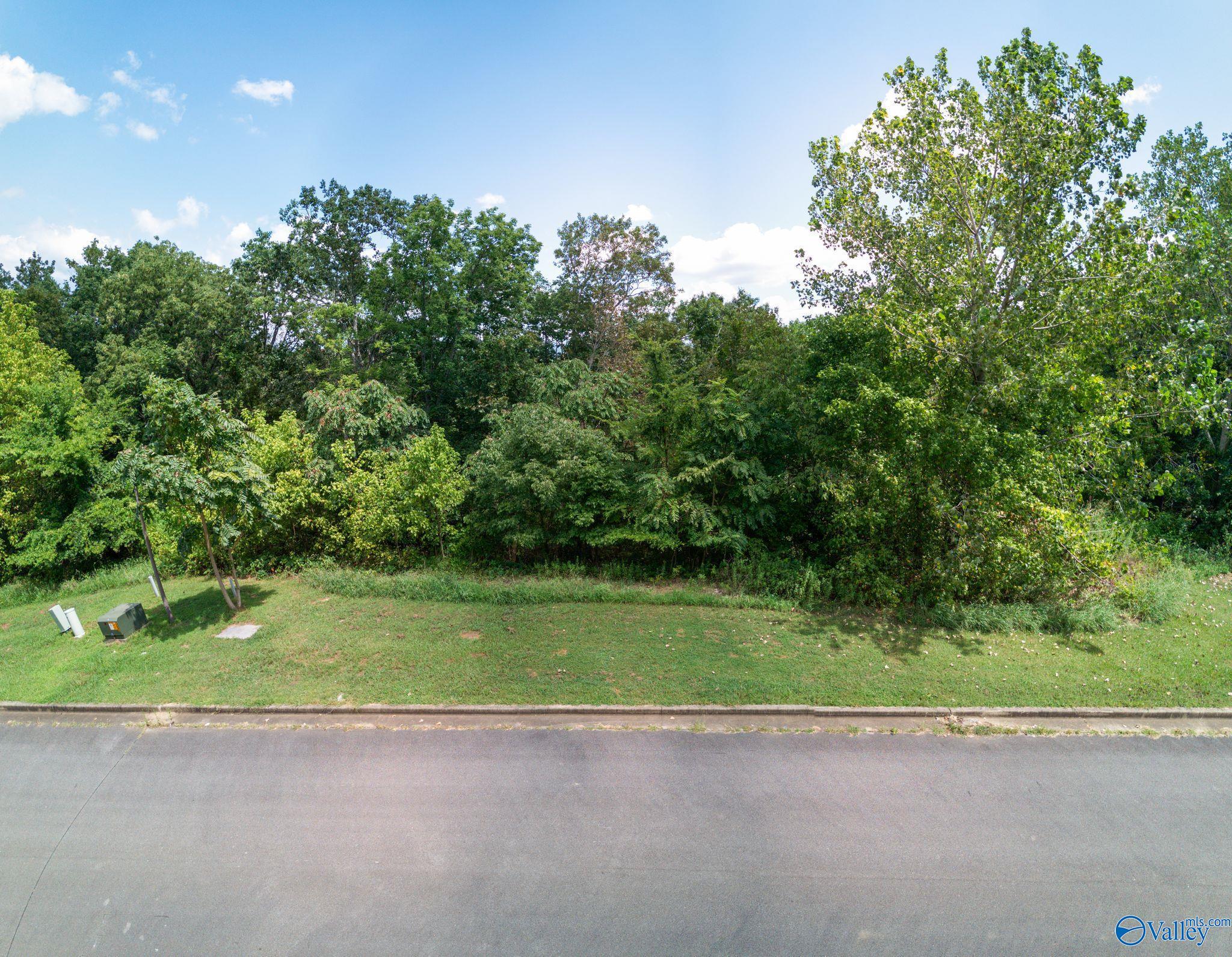 7017 Ridge Crest Road #LOT 44, Owens Cross Roads, Alabama image 36