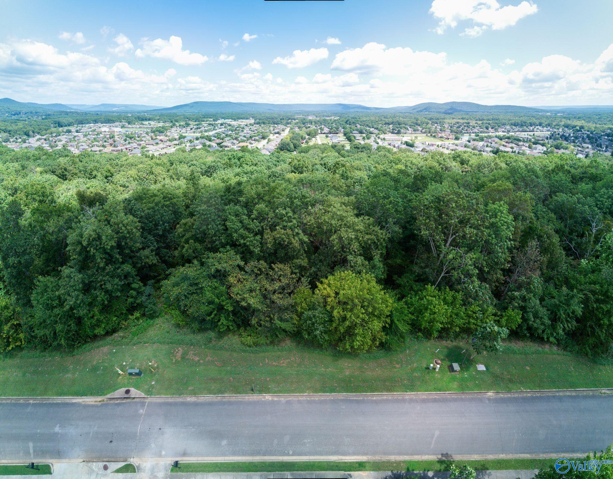 7017 Ridge Crest Road #LOT 44, Owens Cross Roads, Alabama image 38