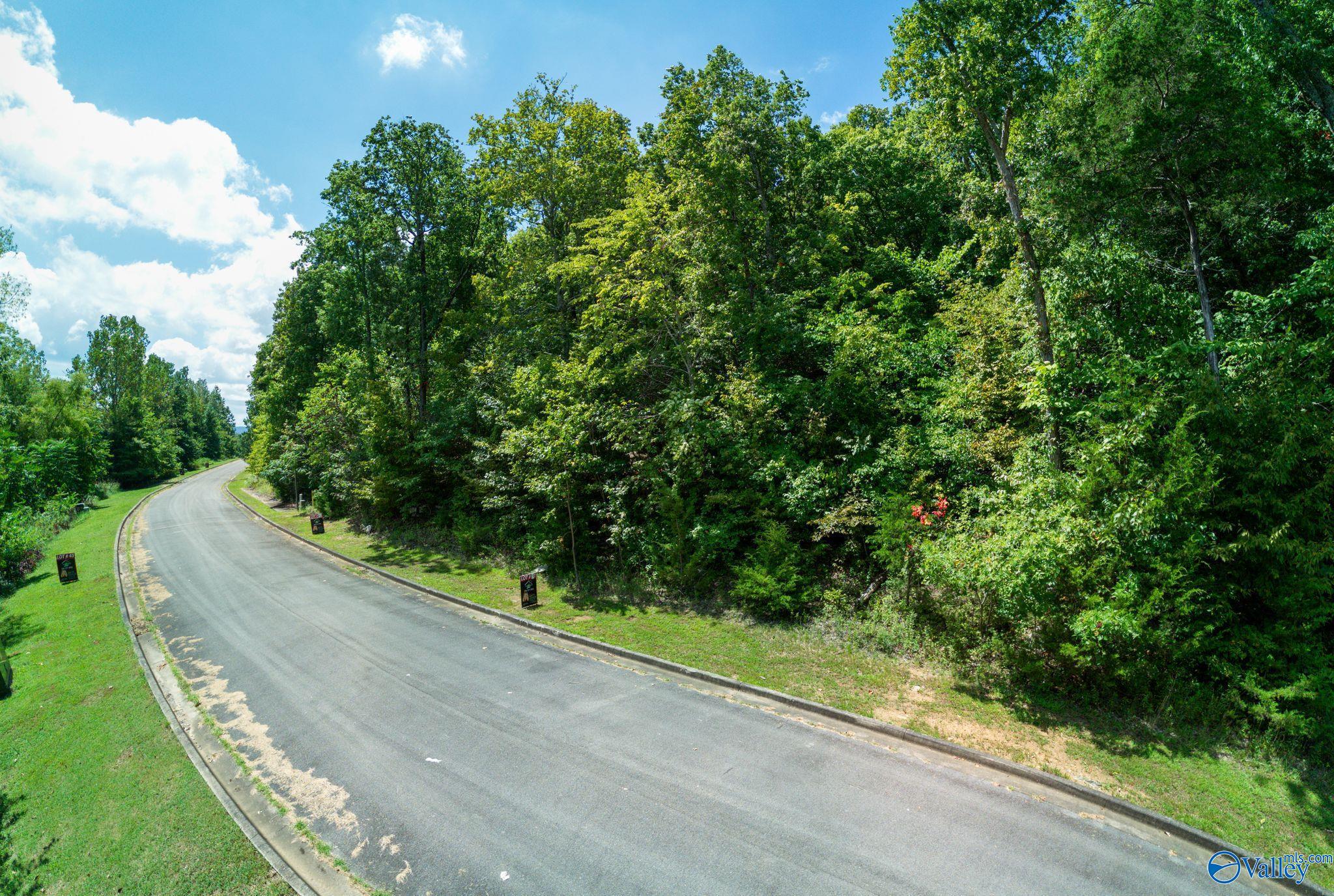 7017 Ridge Crest Road #LOT 44, Owens Cross Roads, Alabama image 16