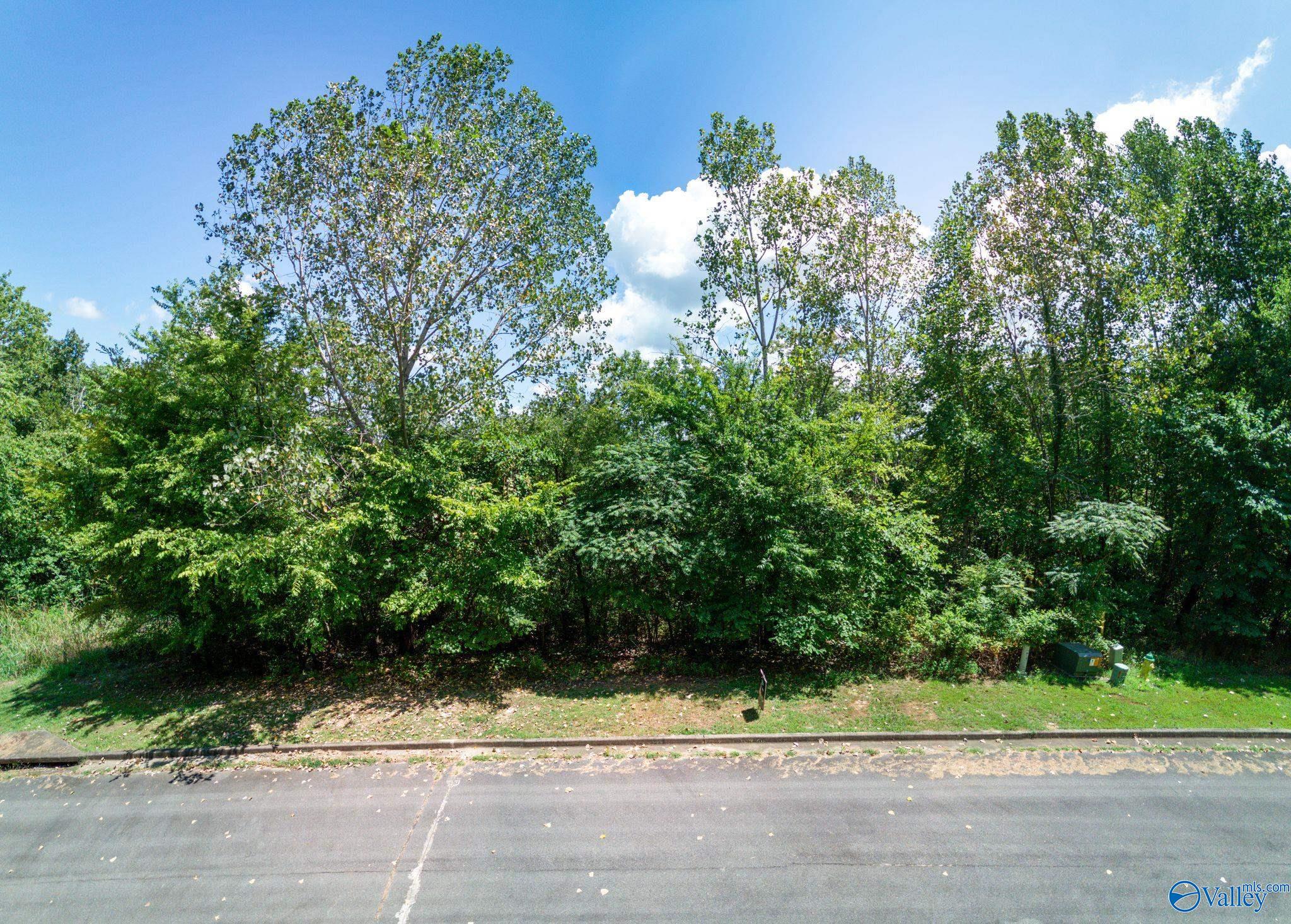 7017 Ridge Crest Road #LOT 44, Owens Cross Roads, Alabama image 19