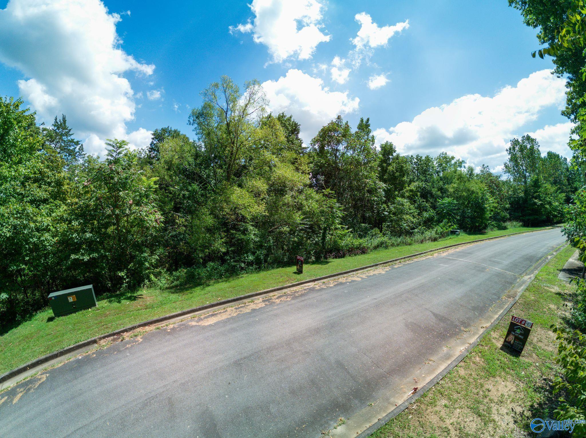 7017 Ridge Crest Road #LOT 44, Owens Cross Roads, Alabama image 18