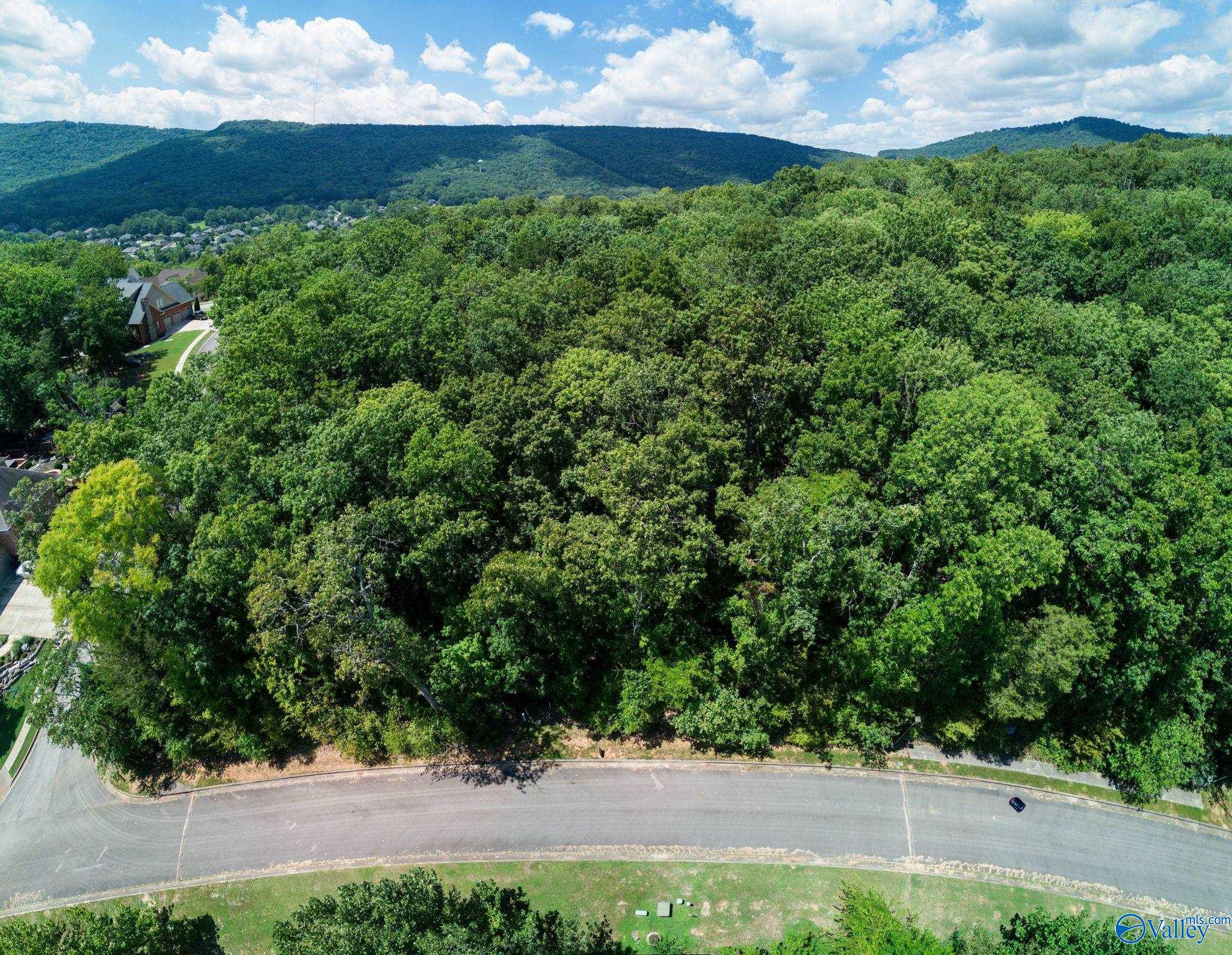 7017 Ridge Crest Road #LOT 44, Owens Cross Roads, Alabama image 30