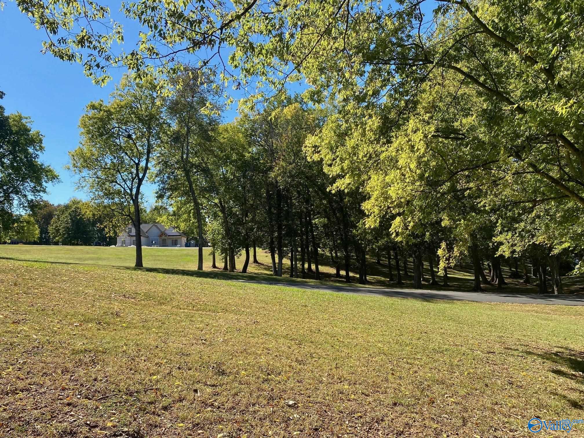 13010 Saint Andrew Drive, Athens, Alabama image 5