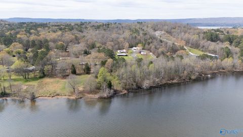 Vacant Land For Sale - 6.6 ACRES South Sauty Road<br/> Langston, AL 35755