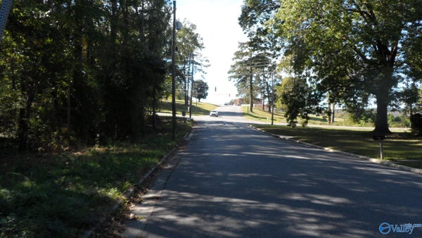 # PENN DRIVE, GADSDEN, AL 35903 - Image 2193d152c7c38d73d136925938cf2b4a/3977934266
