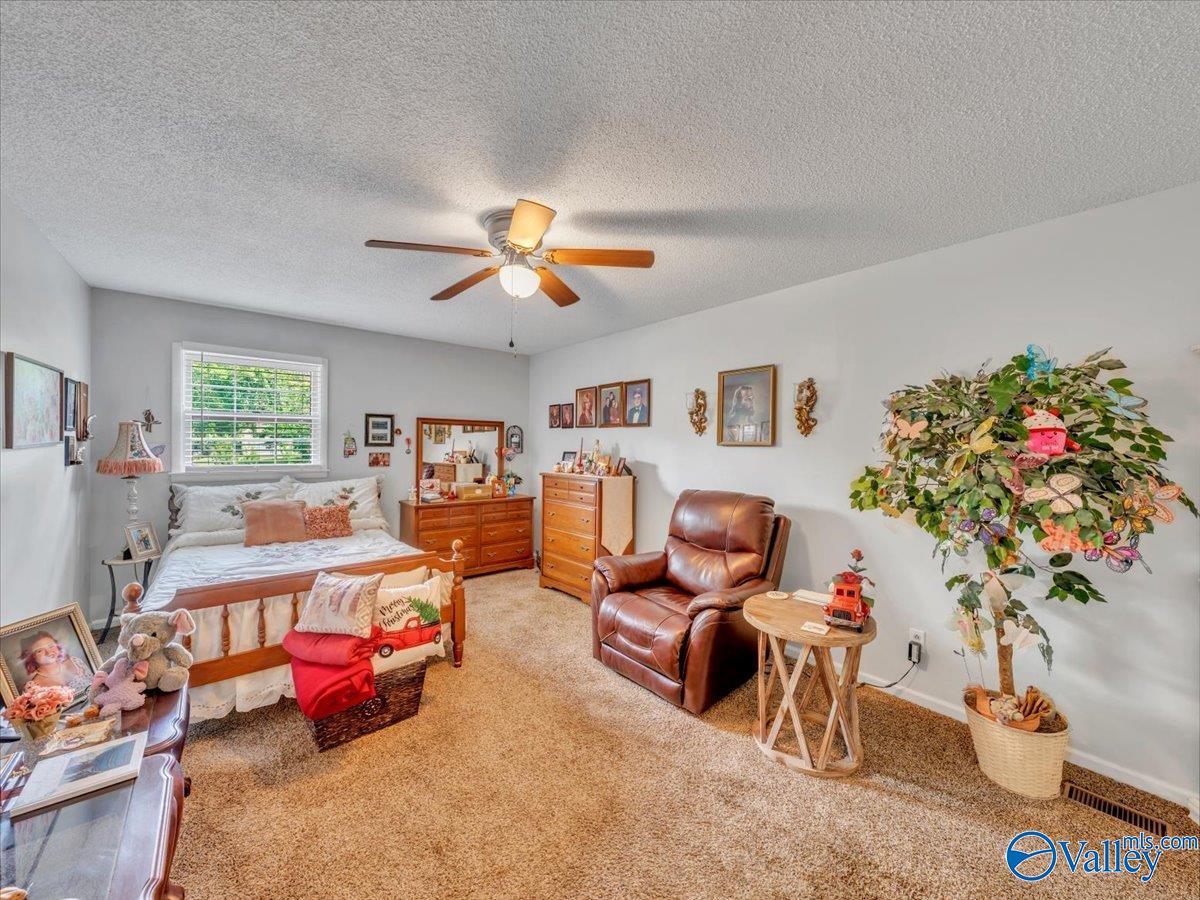 1916 Virginia Avenue, Scottsboro, Alabama image 39