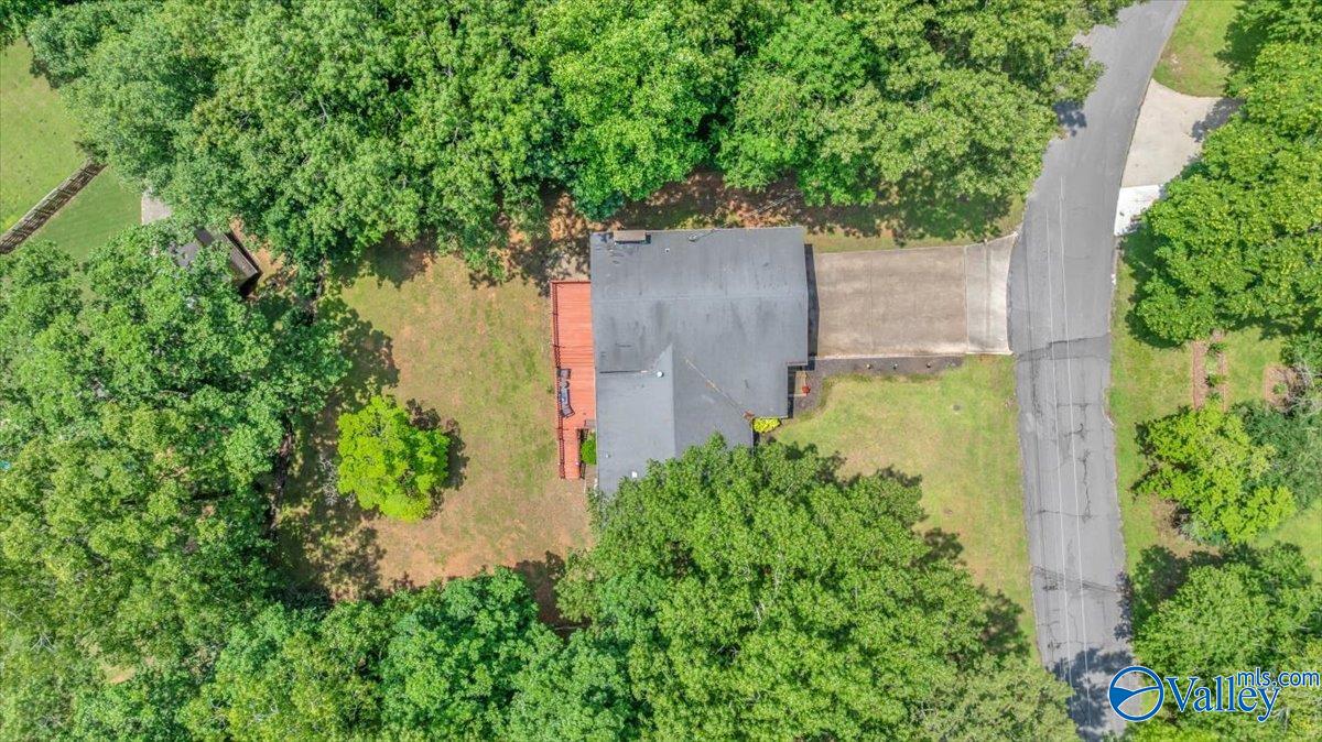1916 Virginia Avenue, Scottsboro, Alabama image 47