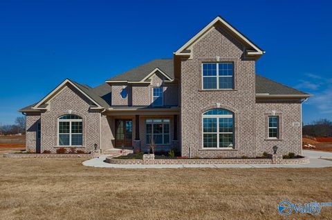 Homes For Sale - 117 Bellawoods Drive<br/> Madison, AL 35756