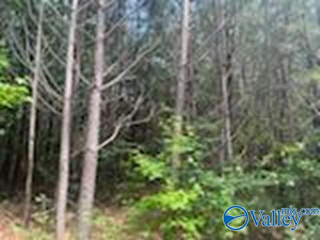 1.10 Ac County Road 57, Fort Payne, Alabama image 1