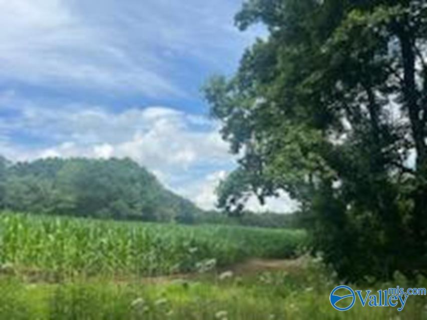 1.10 Ac County Road 57, Fort Payne, Alabama image 2