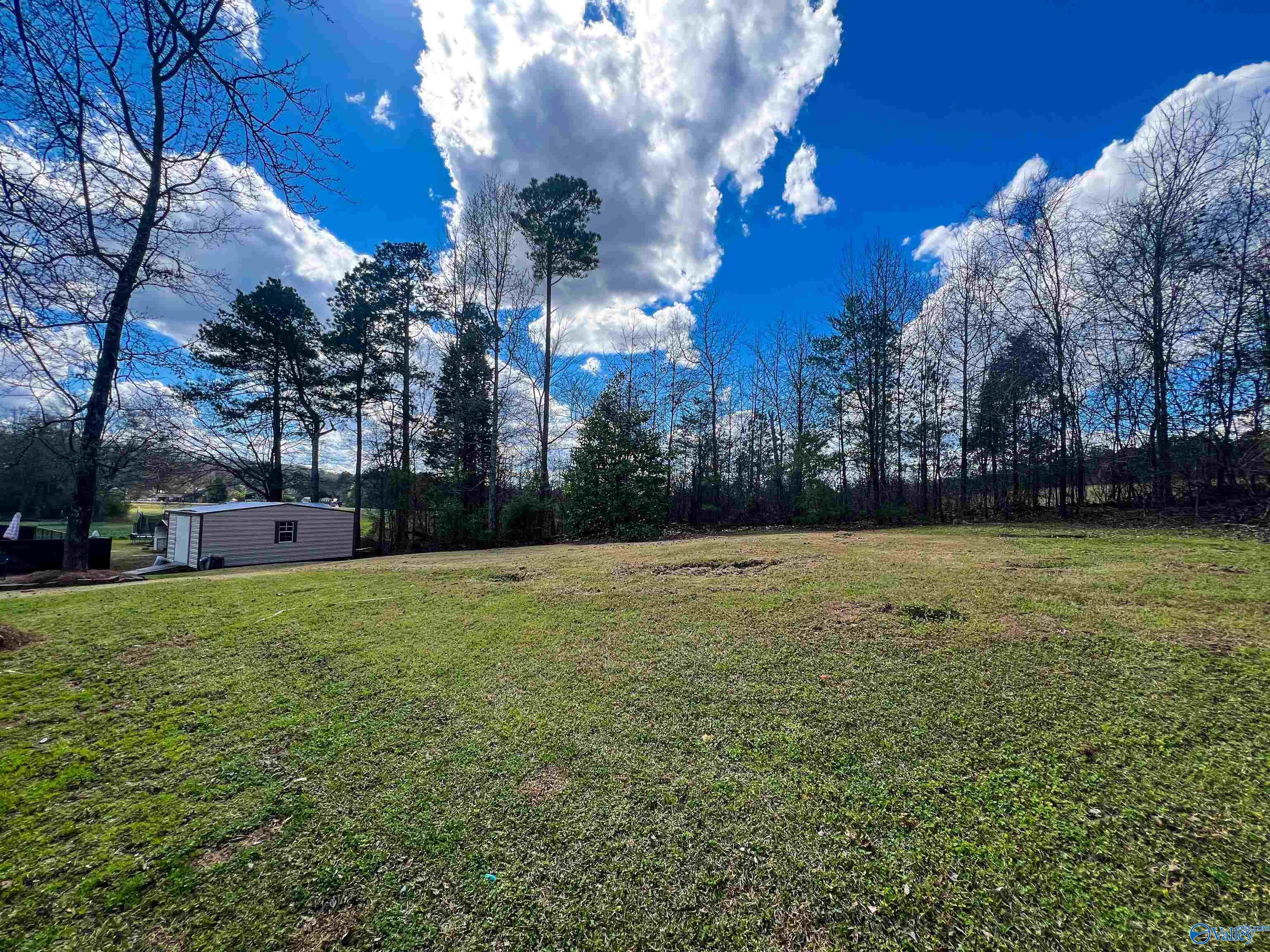 2550 Country Road, Southside, Alabama image 20