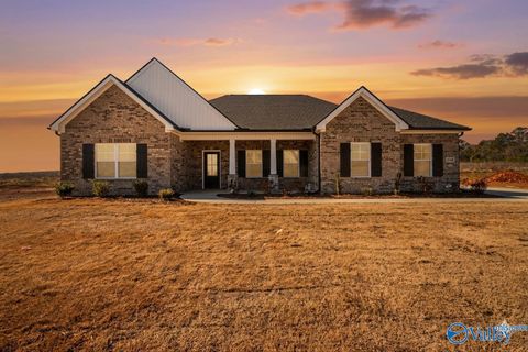 Homes For Sale - 144 Brier View Drive<br/> Madison County, Meridianville, AL 35759