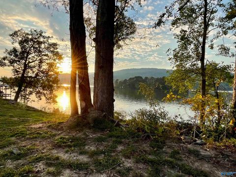 Vacant Land For Sale - 2790 Lake Forest Court<br/> Etowah County, Southside, AL 35907