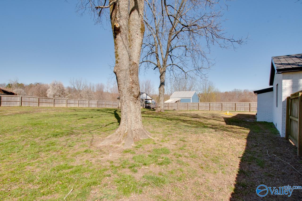 441 Mount Olive Church Road, Union Grove, Alabama image 47