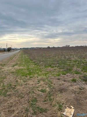 292 JIMMY FISK RD, HAZEL GREEN, AL 35750 - Image 22026a7dc0e82e3988be1a8cc0dfb1a4/2008034485