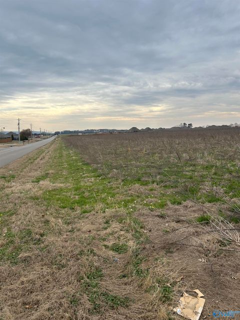 Vacant Land For Sale - 292 Jimmy Fisk Road<br/> Hazel Green, AL 35750