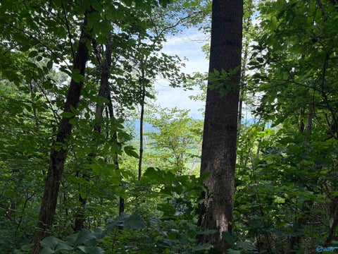 Vacant Land For Sale - PIN#9398 Highway 117<br/> Stevenson, AL 35772