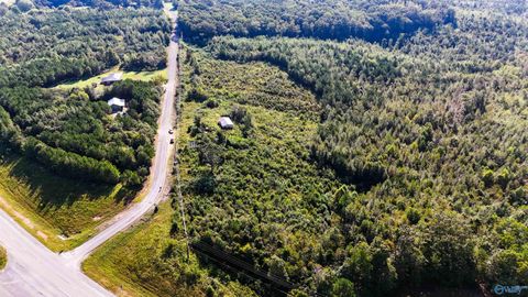 Vacant Land For Sale - 115 AC County Road 424<br/> Russellville, AL 35653