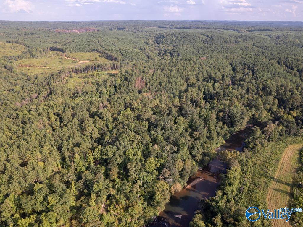 141 Acres Off County Road 22, Rockford, Alabama image 3