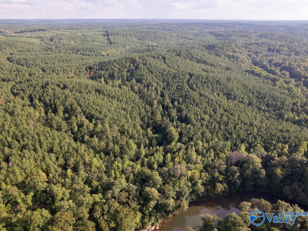 141 Acres Off County Road 22, Rockford, Alabama image 5