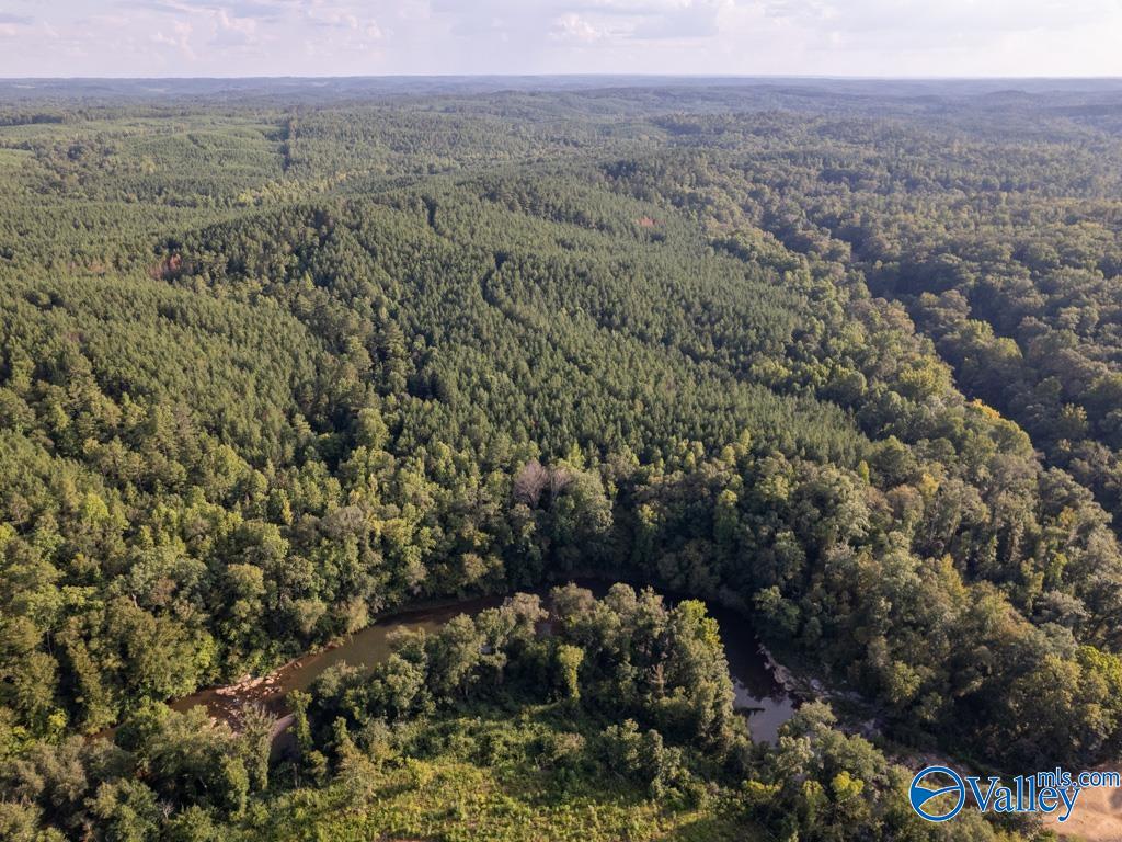 141 Acres Off County Road 22, Rockford, Alabama image 4