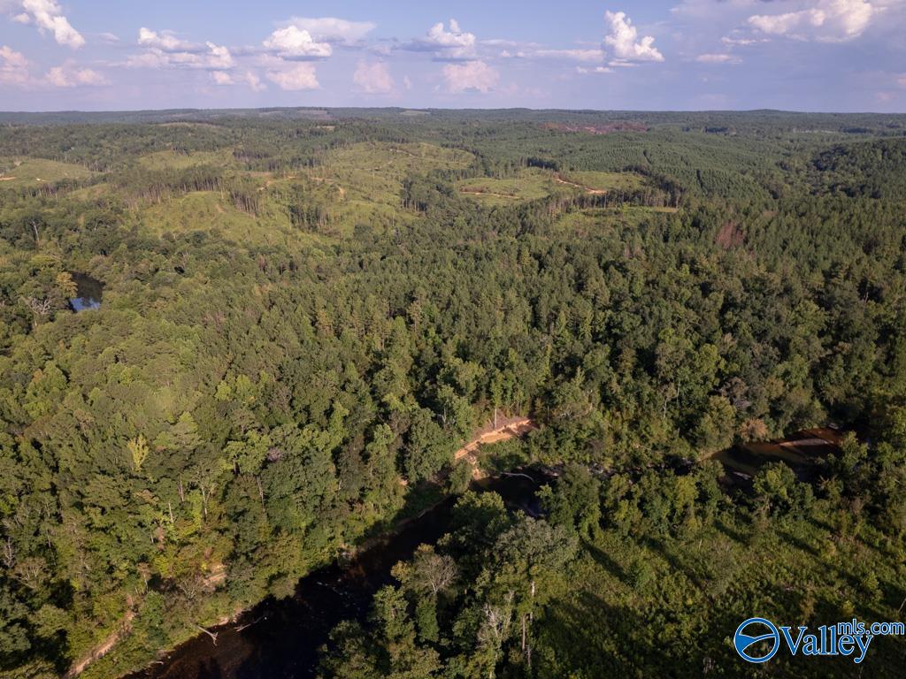 141 Acres Off County Road 22, Rockford, Alabama image 1