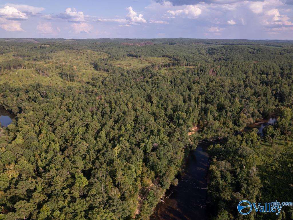 141 Acres Off County Road 22, Rockford, Alabama image 2