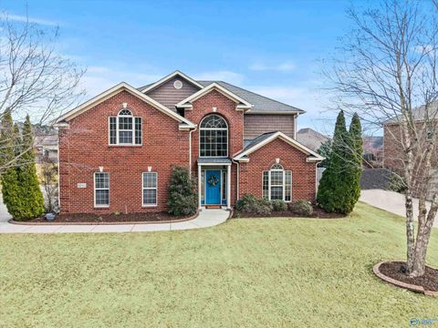 Photo of 6711 Station View Drive, Owens Cross Roads, AL 35763 (MLS # 21911242)