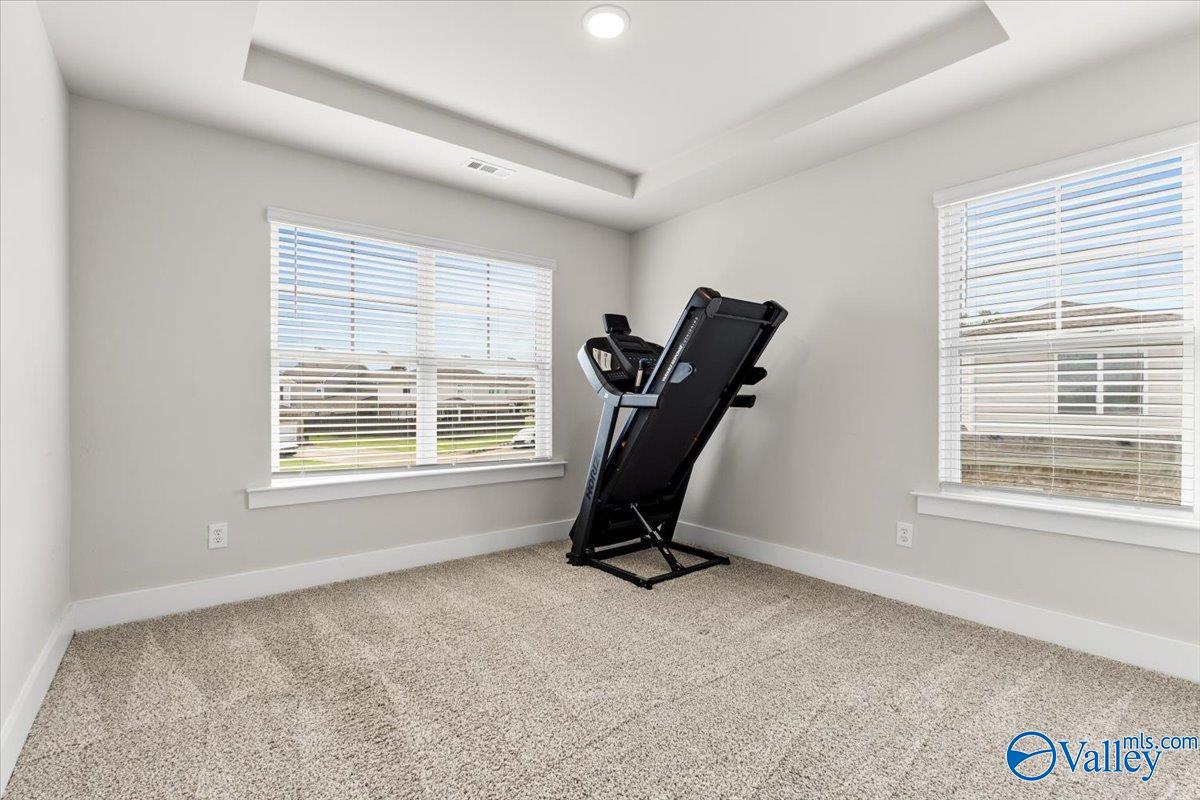 246 Tybee Drive, Madison, Alabama image 37