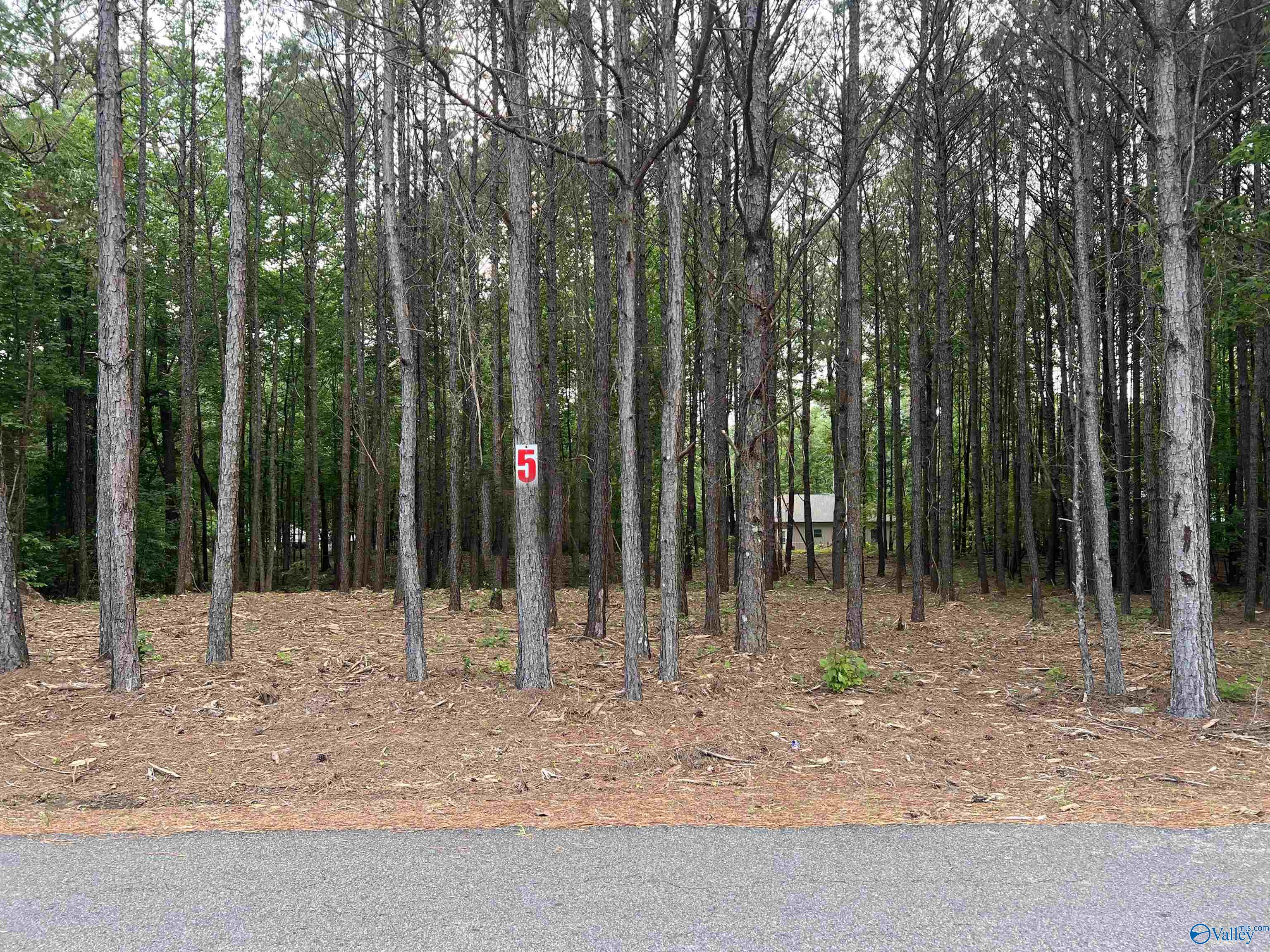 Lot 5 Arrowhead Drive, Jasper, Alabama image 2