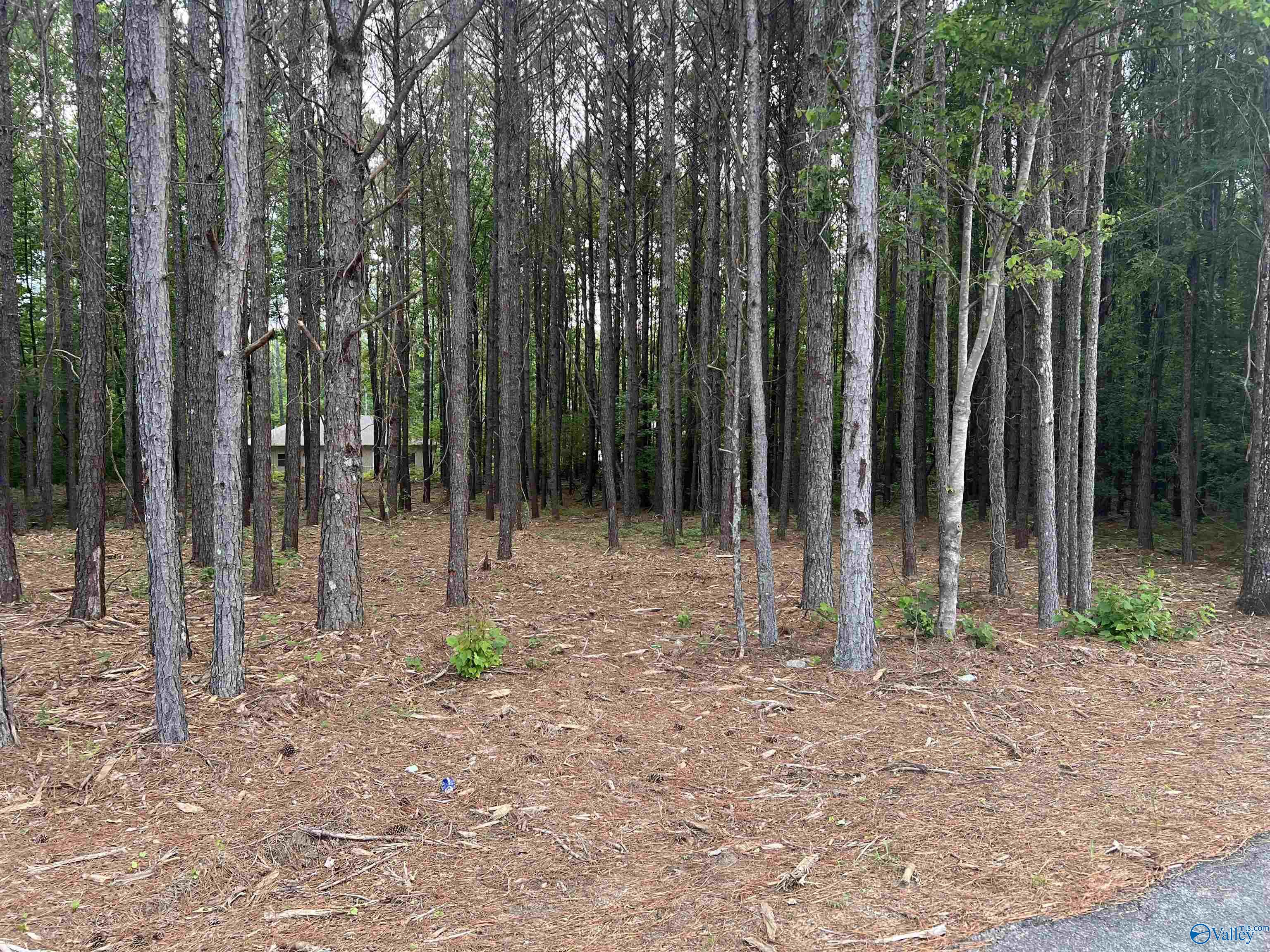 Lot 5 Arrowhead Drive, Jasper, Alabama image 3