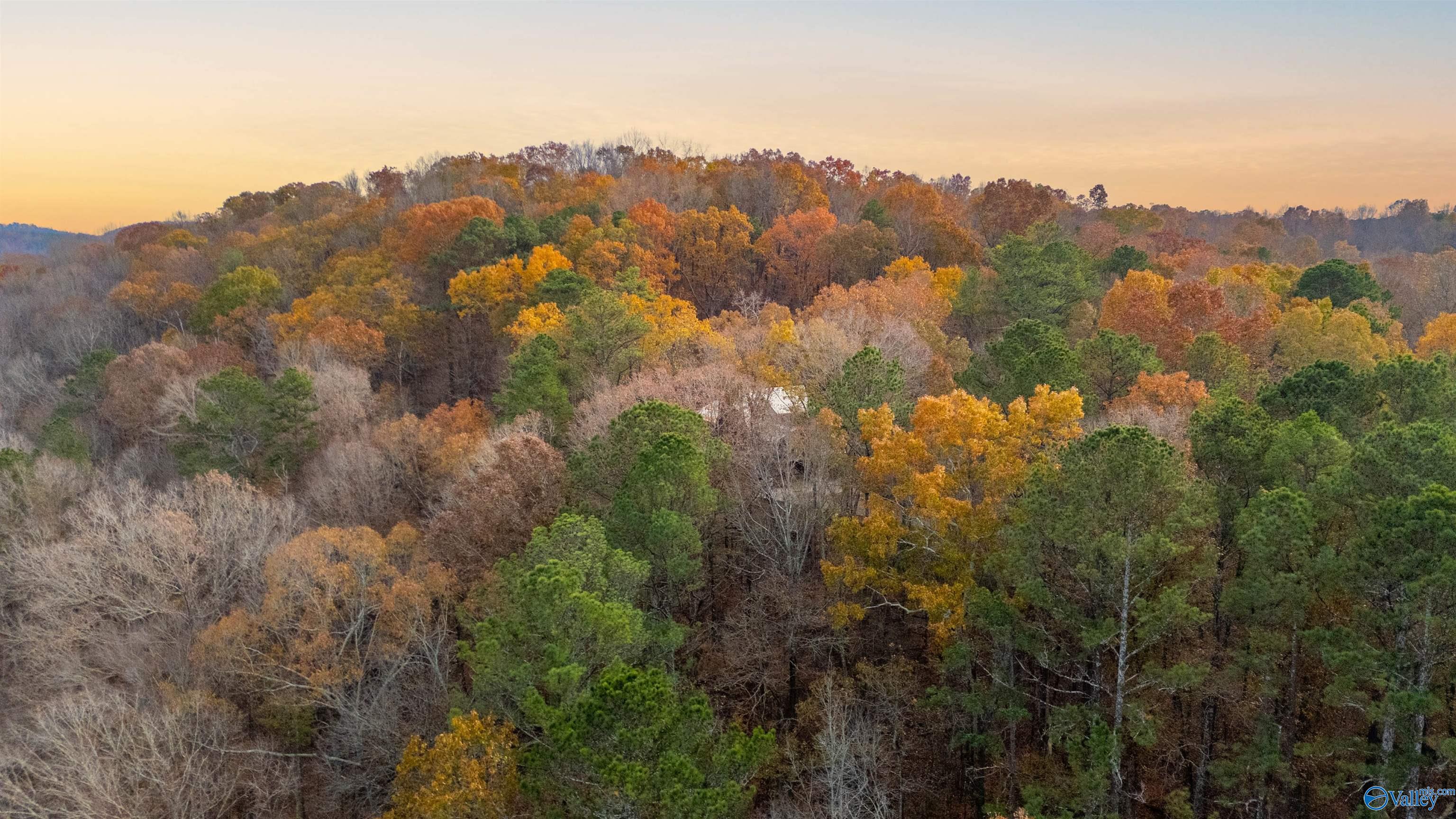 161 Littleton Road, Attalla, Alabama image 9