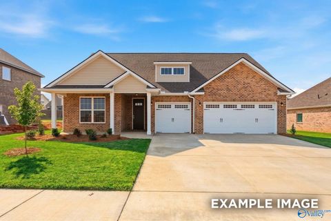 Homes For Sale - 111 Creek Park Drive<br/> Meridianville, AL 35759