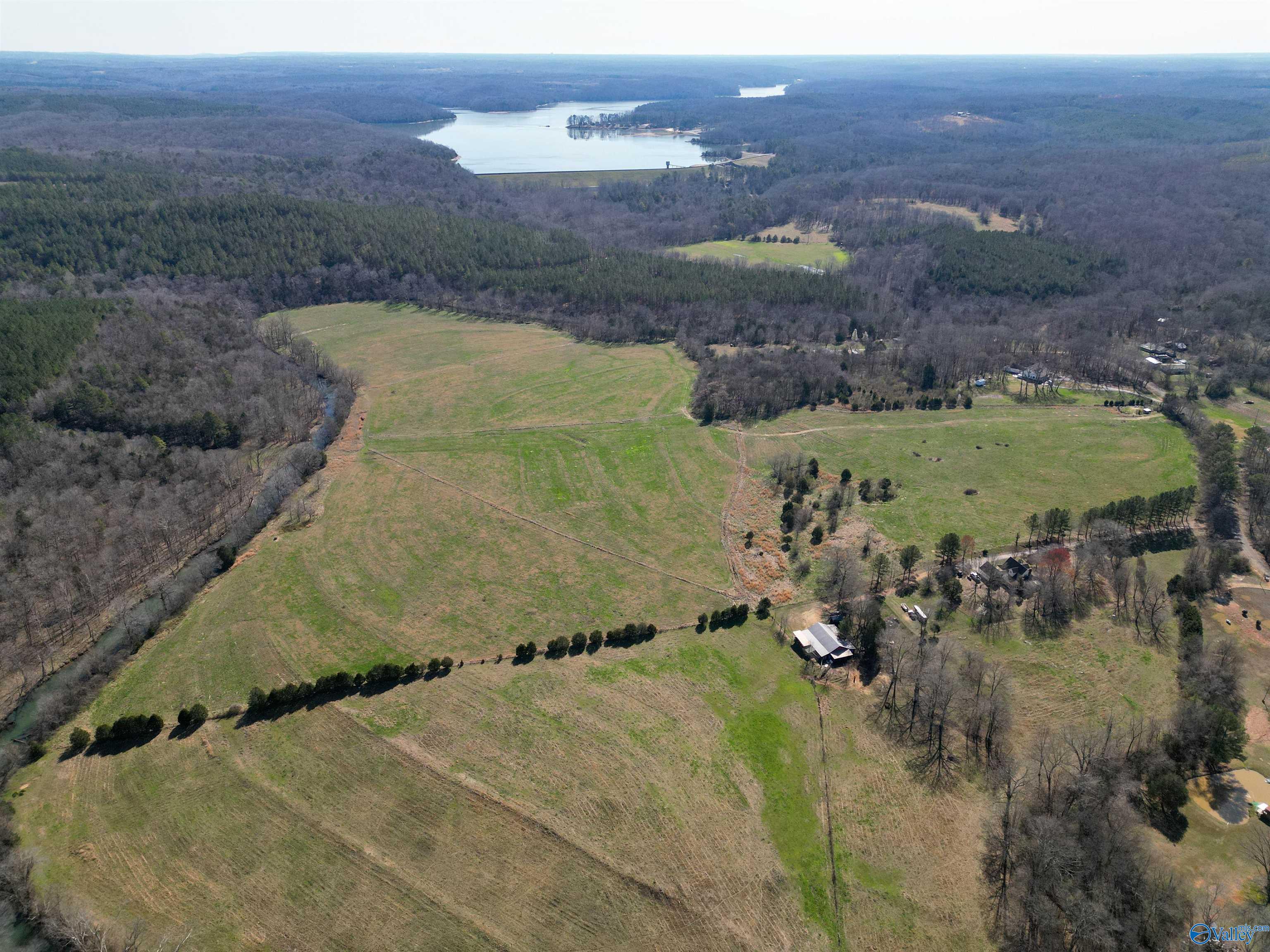 68 Acres Piney Bend Road, Vina, Alabama image 3