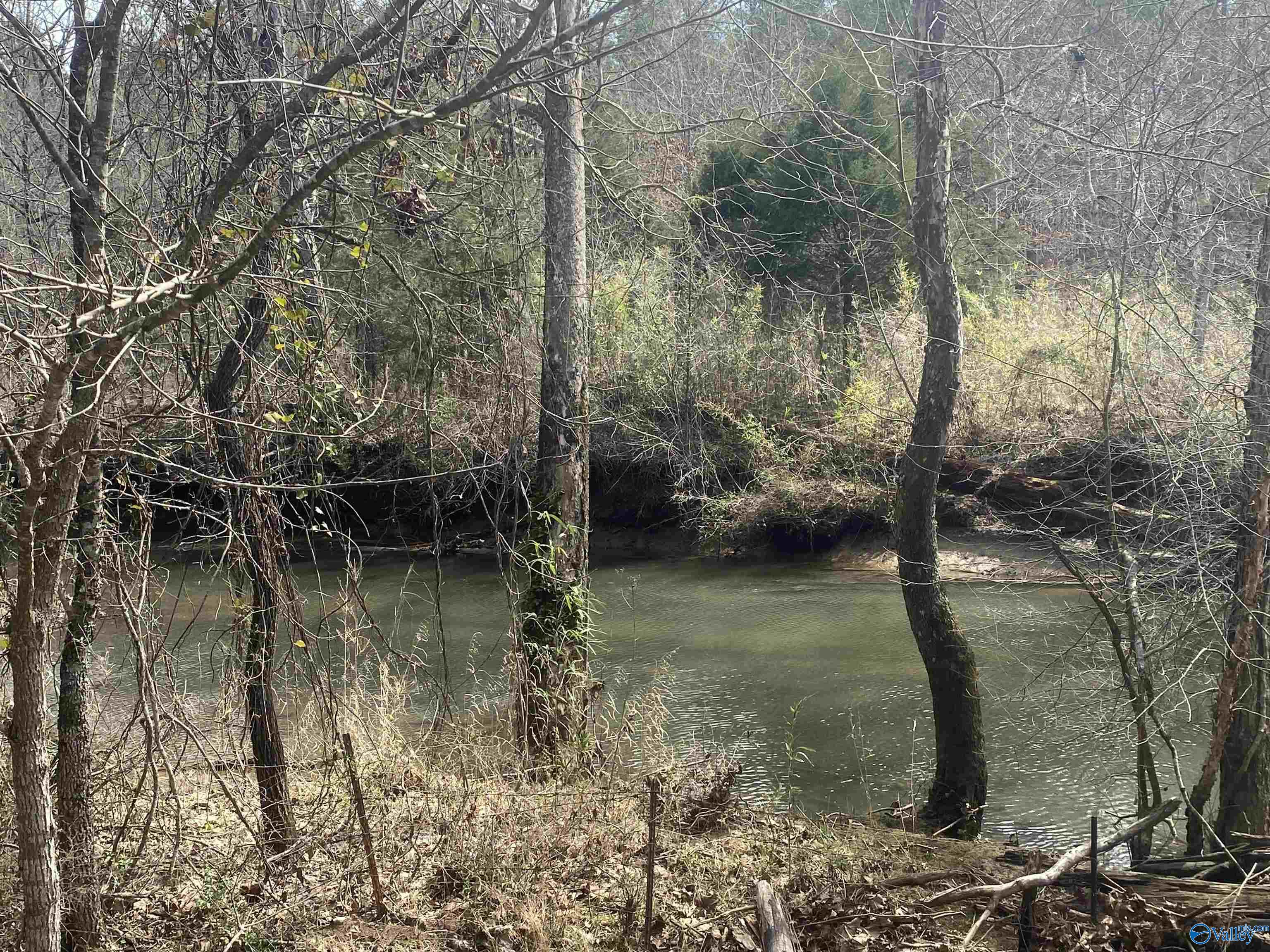 68 Acres Piney Bend Road, Vina, Alabama image 5