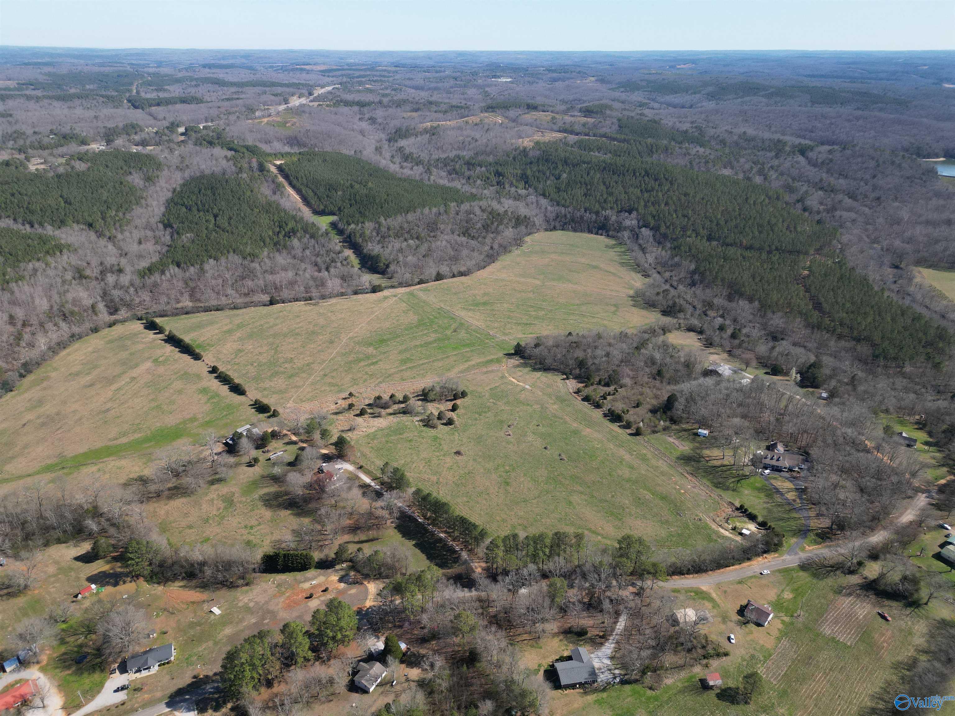 68 Acres Piney Bend Road, Vina, Alabama image 4