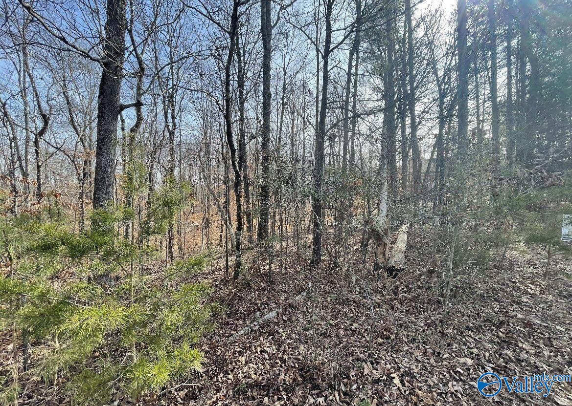 2 Acres Bright Drive, Blountsville, Alabama image 2