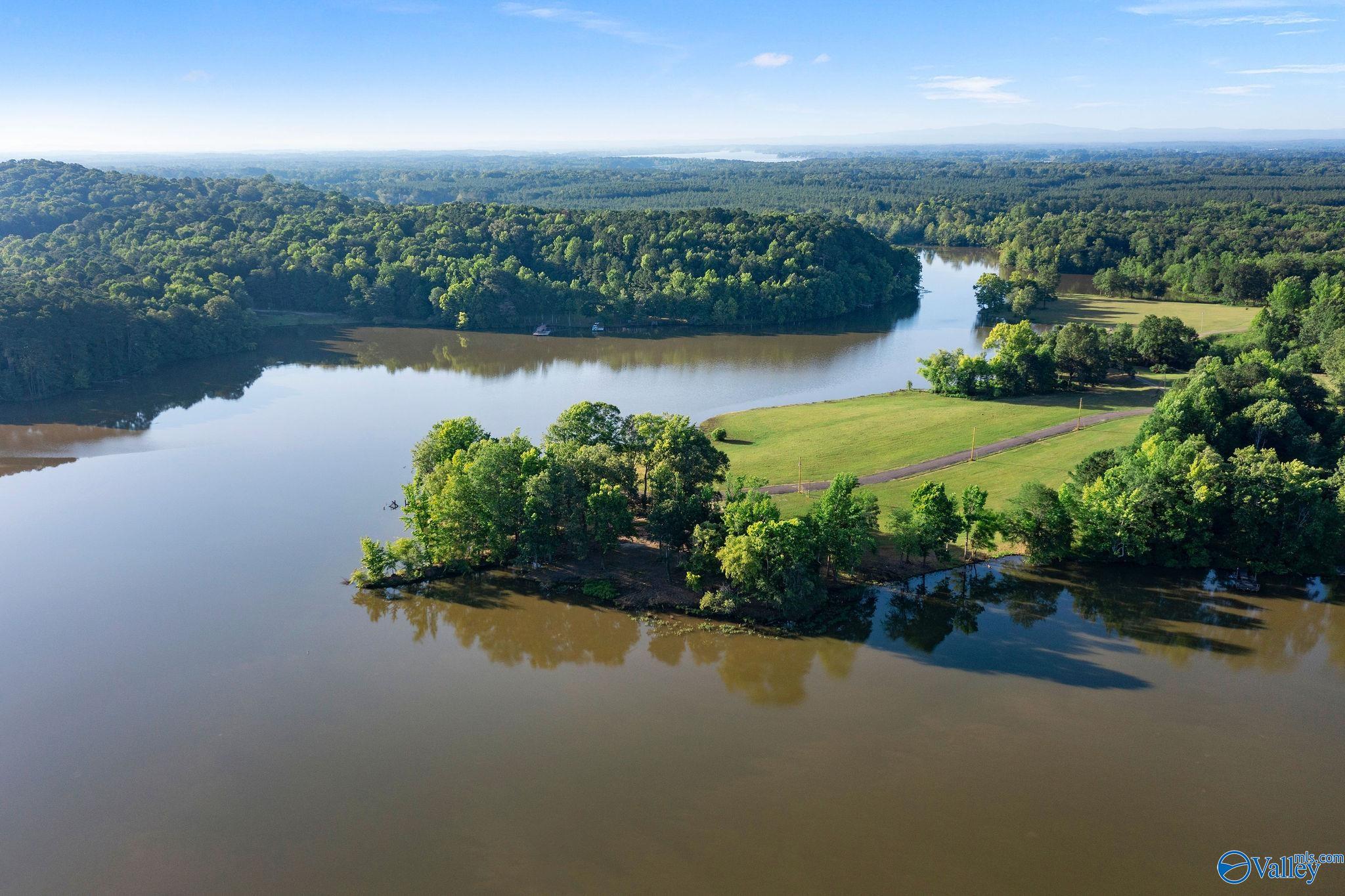 97 County Road 1057, Cedar Bluff, Alabama image 4