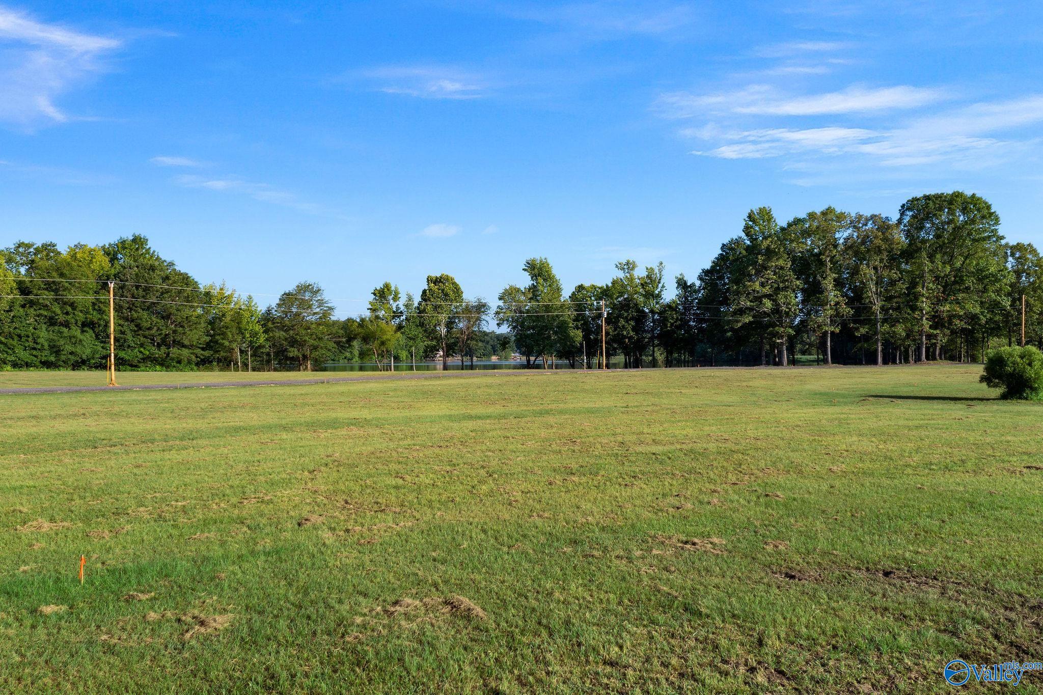 97 County Road 1057, Cedar Bluff, Alabama image 7