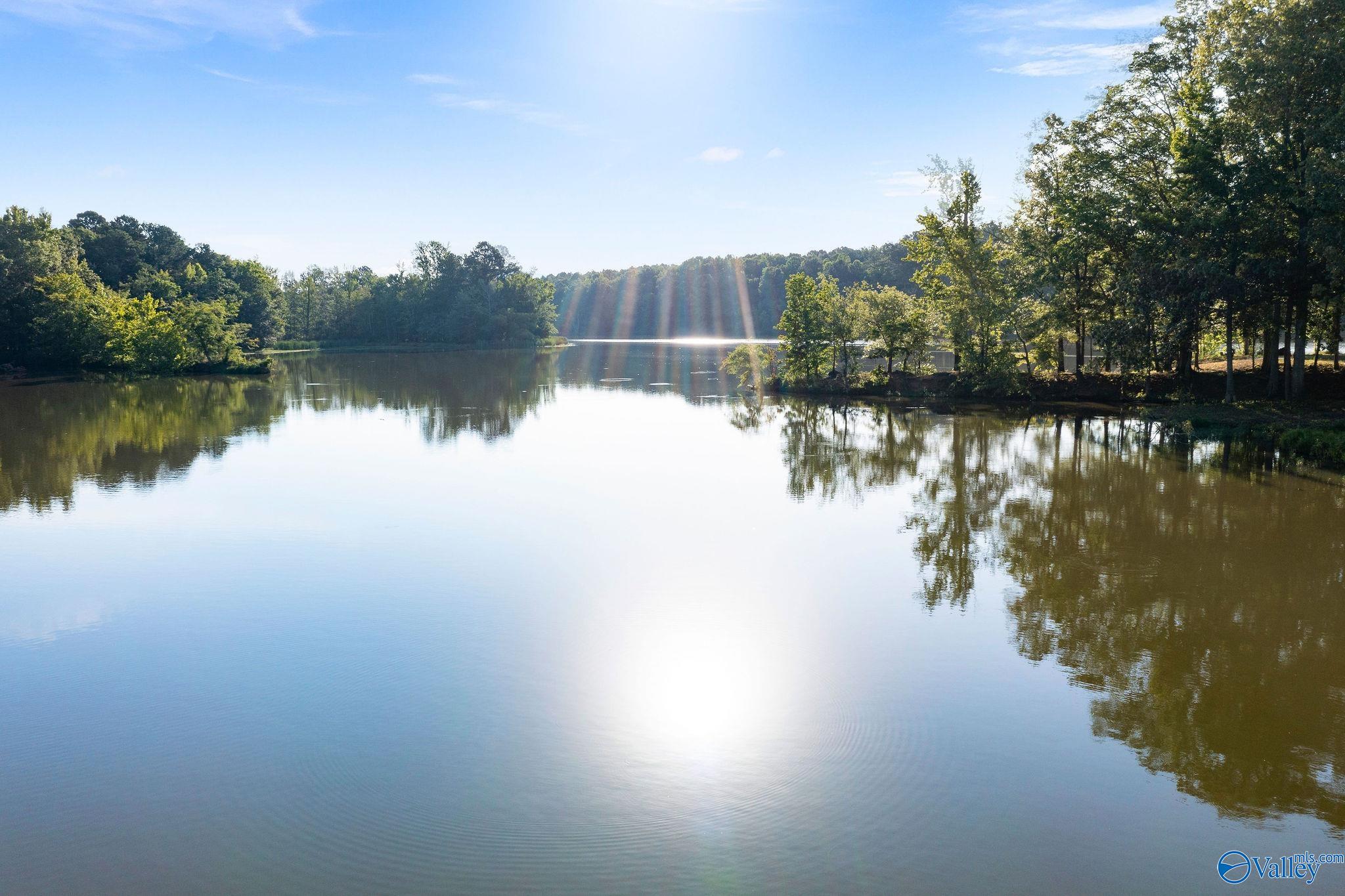 97 County Road 1057, Cedar Bluff, Alabama image 6