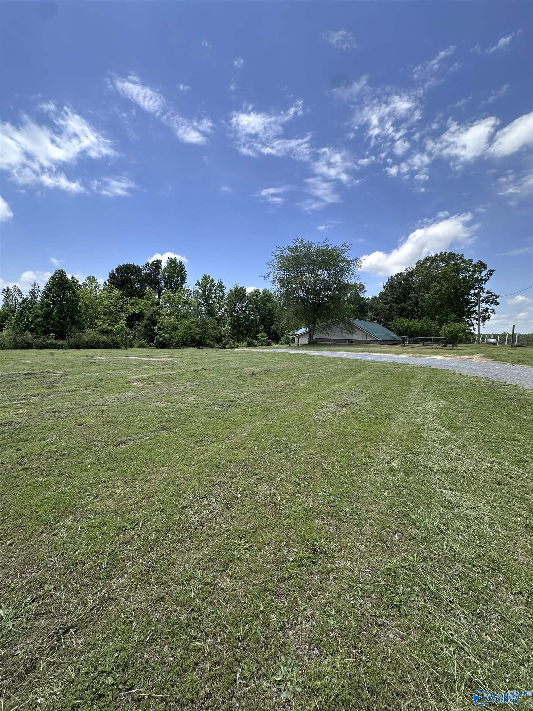 321 County Road 1818, Arab, Alabama image 23